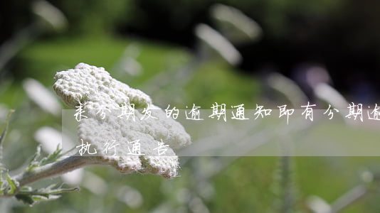 来分期发的逾期通知（即有分期逾期发来法院执行通告）
