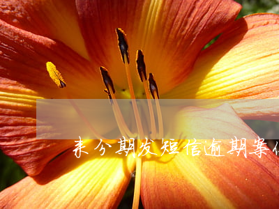 来分期发短信逾期案件审理结束-