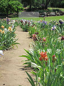 来分期怎么协商还本金(来分期协商还本金行吗)