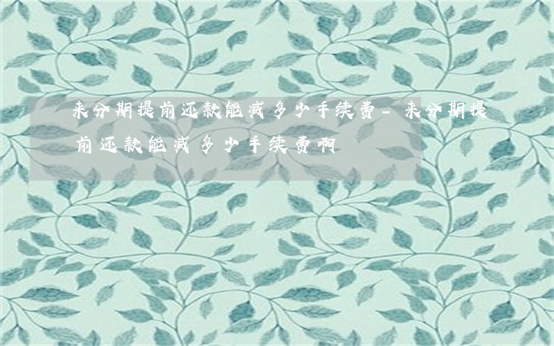 来分期提前还款能减多少手续费-来分期提前还款能减多少手续费啊