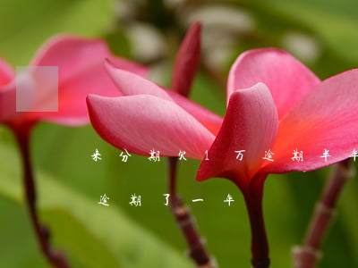 来分期欠1万逾期半年(来分期欠一万多已经逾期了一年)