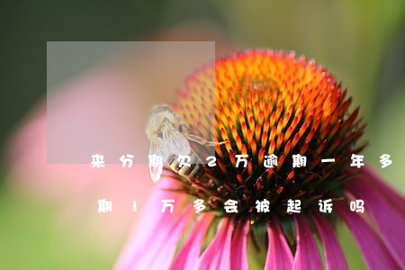 来分期欠2万逾期一年多会起诉吗(来分期逾期1万多会被起诉吗)