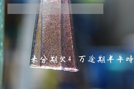 来分期欠4万逾期半年(时光分期逾期四个月)