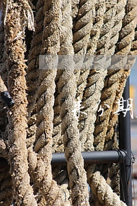 来分期欠了1万多一年都没还