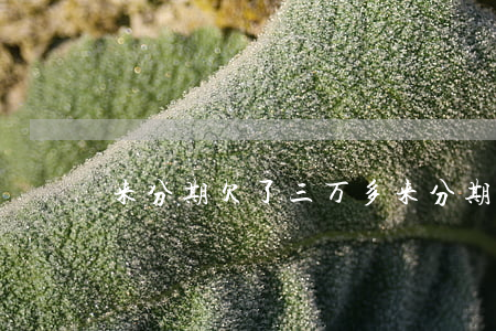 来分期欠了三万多(来分期欠几千块会怎样)