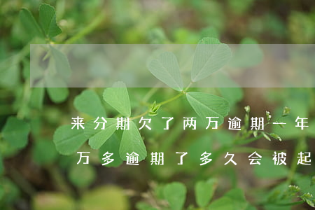 来分期欠了两万逾期一年未还款(来分期欠两万多逾期了,多久会被起诉)
