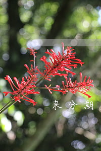 来分期欠几百会上门收款(来分期上门催收吗)