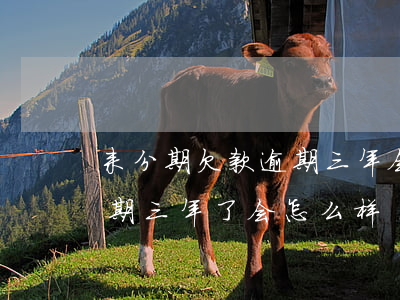 来分期欠款逾期三年会怎样(即有分期欠款逾期三年了,会怎么样)
