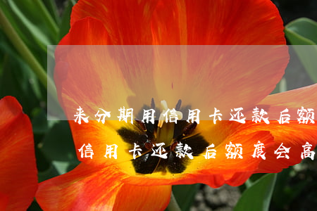 来分期用信用卡还款后额度会高-来分期用信用卡还款后额度会高吗