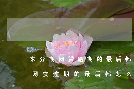 来分期网贷逾期的最后都怎么样了呀（来分期网贷逾期的最后都怎么样了）