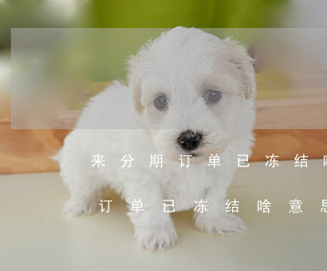 来分期订单已冻结啥意思不能还款-来分期订单已冻结啥意思不能还款了