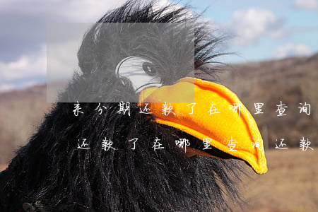 来分期还款了在哪里查询还款记录-来分期还款了在哪里查询还款记录呢
