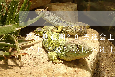 来分期逾期20天还会上门吗(来分期逾期半个月了说2小时不还上门)