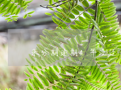 来分期逾期4年没还