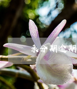 来分期逾期6个月了(来分期逾期半年)