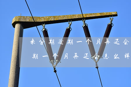 来分期逾期一个月再还会怎么样-来分期逾期一个月再还会怎么样吗