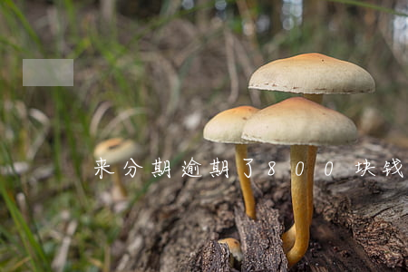 来分期逾期了800块钱被起诉
