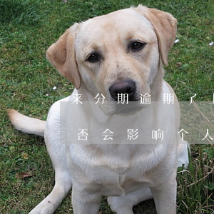 来分期逾期了上征信有影响吗，来分期逾期是否会影响个人征信？