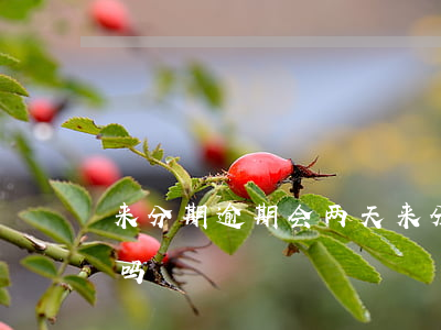 来分期逾期会两天(来分期逾期会两天上征信吗)