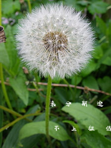 来分期逾期后信用卡办不了(来分期逾期了上不上征信)
