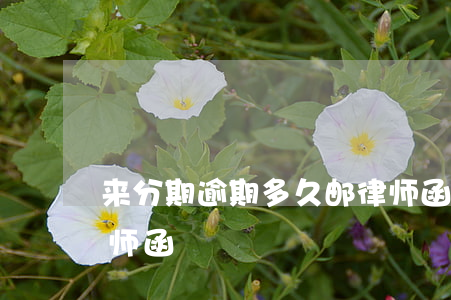来分期逾期多久邮律师函(分期逾期收到了律师函)