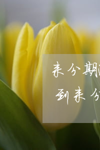 来分期逾期律师函已发会怎么样(有没有人收到来分期的律师函)