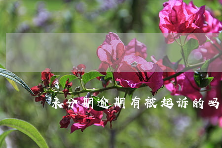 来分期逾期有被起诉的吗 来分期逾期被告了