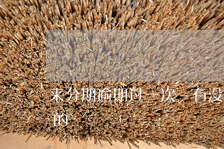 来分期逾期过一次-有没有来分期逾期两年的