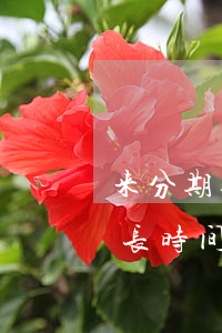 来分期逾期还款在哪里(来分期逾期还款后多长时间可以借出来)