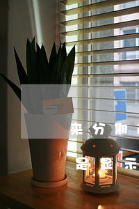 来分期逾期还款 来分期逾期还款了为什么还是显示逾期