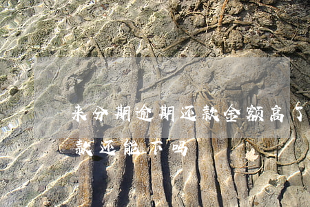 来分期逾期还款金额高了(来分期逾期别的贷款还能下吗)