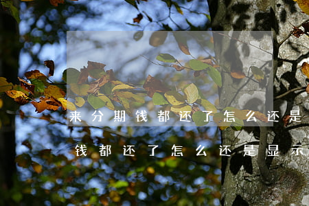 来分期钱都还了怎么还是显示逾期-来分期钱都还了怎么还是显示逾期了