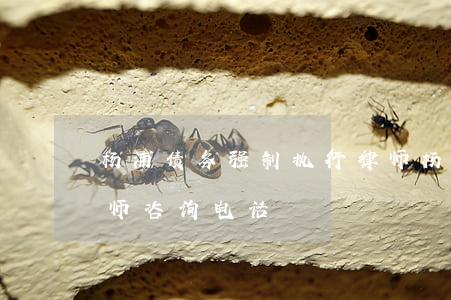 杨浦债务强制执行律师 杨浦债务强制执行律师咨询电话