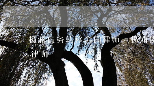 杨浦债务转移合同律师-杨浦债务转移合同律师