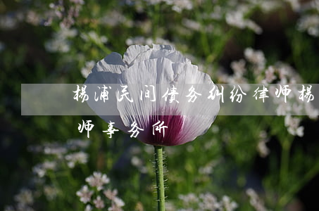 杨浦民间债务纠纷律师(杨浦民间债务纠纷律师事务所)