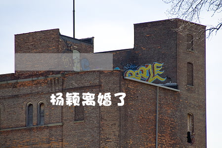 杨颖离婚了