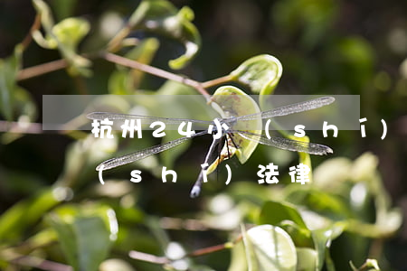 杭州24小時(shí)法律(杭州24小時(shí)法律)