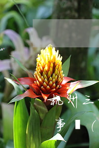 杭州三方律師事務(wù)所(杭州三方律師事務(wù)所口碑怎么樣)
