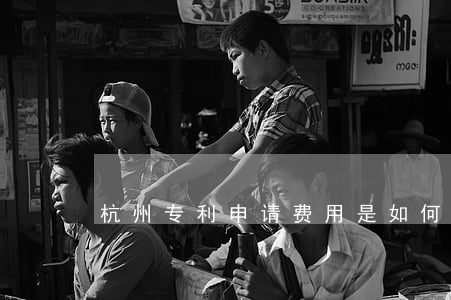 杭州专利申请费用是如何收取的