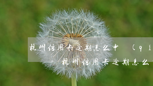 杭州信用卡逾期怎么申請(qǐng)停息掛賬-杭州信用卡逾期怎么申請(qǐng)停息掛賬的