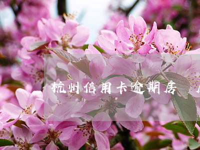 杭州信用卡逾期房貸(房貸 信用卡逾期)