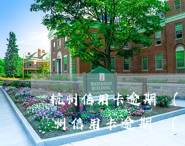 杭州信用卡逾期數(shù)據(jù)(杭州信用卡逾期數(shù)據(jù)恢復(fù))