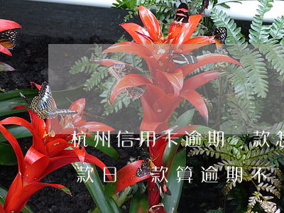 杭州信用卡逾期還款怎么算(在信用卡最后還款日還款算逾期不)