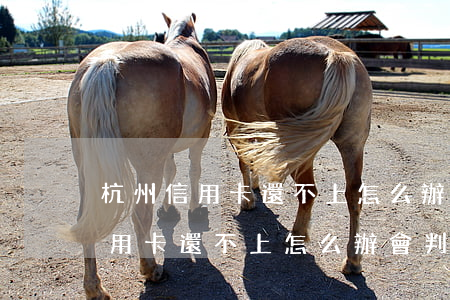 杭州信用卡還不上怎么辦會判刑嗎-杭州信用卡還不上怎么辦會判刑嗎知乎