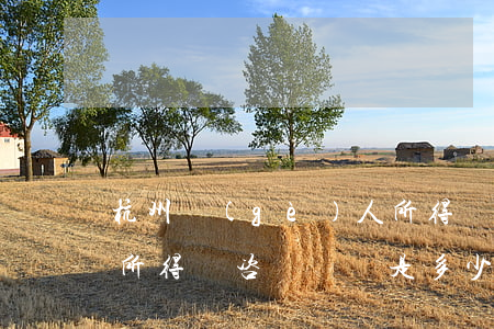 杭州個(gè)人所得稅(杭州個(gè)人所得稅咨詢電話是多少)