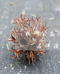 杭州公益律師免費法律援助(杭州公益律師免費法律援助電話)