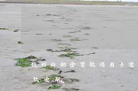 杭州公积金贷款信用卡逾期(杭州市公积金贷款逾期)
