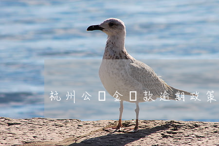 杭州公積金貸款逾期政策