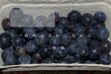 杭州司法拍賣可以入戶嗎(杭州司法拍賣車輛過戶帶牌照嗎)
