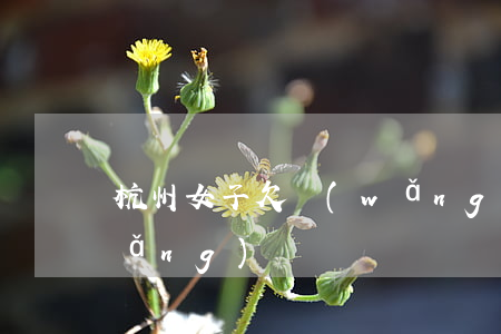 杭州女子欠網(wǎng)貸(女孩欠網(wǎng)貸)